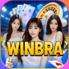 Logo da WINBRA